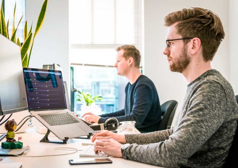Vu latérale de deux freelances Algérien WordPress travaillant sur son PC